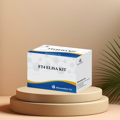 مجموعة اختبارات التشخيص الطبي FT4 المرتبطة بالأنزيمات مع اختبار الإمتصاص المناعي ذات الدقة العالية