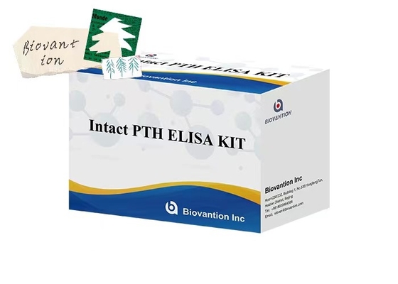 مجموعة اختبار ELISA لقياس PTH 96 سليمة لعينات البلازما مع وقت تحليل 1 ساعة
