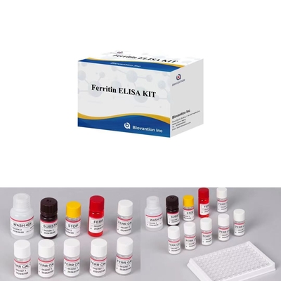 فيريتين IVD Elisa الحفاظ على الحيوانات لعينات البلازما في المصل