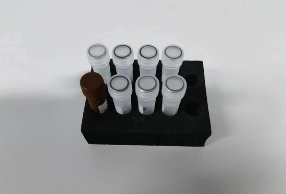 فيروس التهاب الكبد B فيروس التهاب الكبد HBV PCR الكمية KIT حساسية عينة نوع اختبار مجموعة مع 96 اختبار