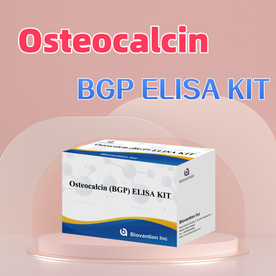 مجموعة اكتشاف لـ Osteocalcin BGP للإنسان