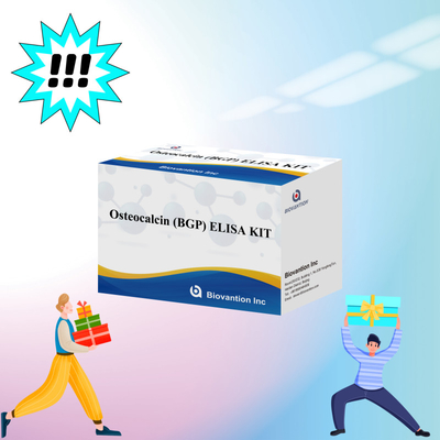 مجموعة اكتشاف لـ Osteocalcin BGP للإنسان