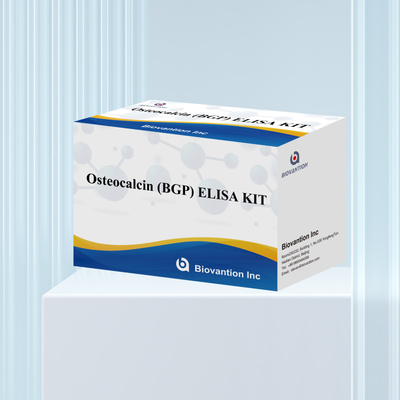 مجموعة اكتشاف لـ Osteocalcin BGP للإنسان