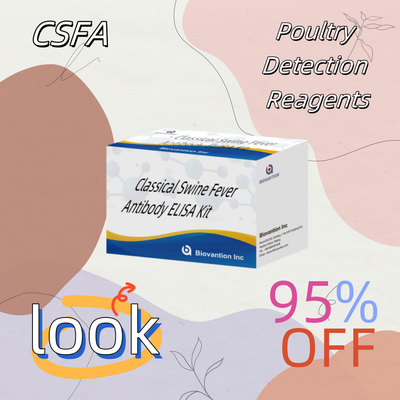 مجموعة الكشف عن CSFV مضاد الحمى الخنازير الكلاسيكية لمتفاعل الكشف عن الحيوانات 192T
