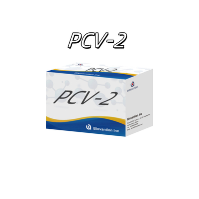 اختبار WB/S/P PCV-2 ELISA لمستجيبات الأجسام المضادة للحيوانات