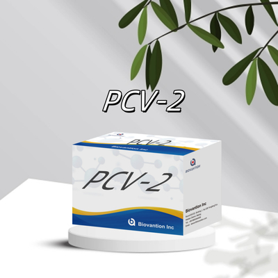 اختبار WB/S/P PCV-2 ELISA لمستجيبات الأجسام المضادة للحيوانات
