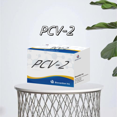 اختبار WB/S/P PCV-2 ELISA لمستجيبات الأجسام المضادة للحيوانات