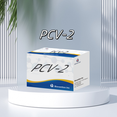 اختبار WB/S/P PCV-2 ELISA لمستجيبات الأجسام المضادة للحيوانات