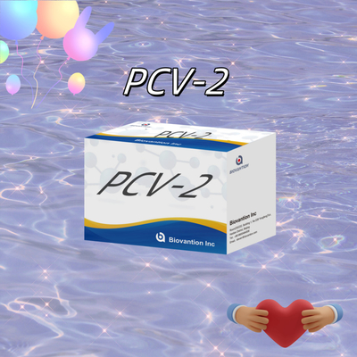 اختبار WB/S/P PCV-2 ELISA لمستجيبات الأجسام المضادة للحيوانات