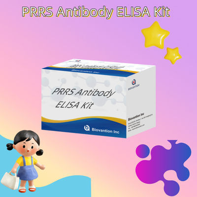 اختبار ELISA للحيوانات PRRSV مضادات PRRS الخنازير مضادات الجسم البيطري