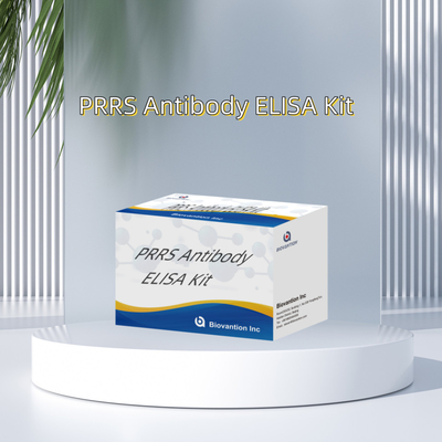 اختبار ELISA للحيوانات PRRSV مضادات PRRS الخنازير مضادات الجسم البيطري