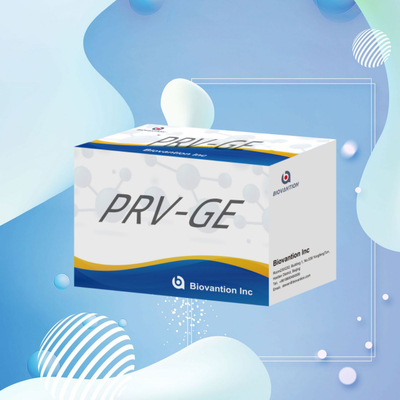 مجموعة الكشف عن المفاعل الكشف عن الحيوانات مجموعة ELISA لمضادات الجسم PRV-GE