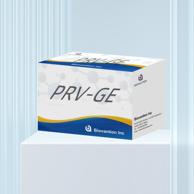 مجموعة الكشف عن المفاعل الكشف عن الحيوانات مجموعة ELISA لمضادات الجسم PRV-GE