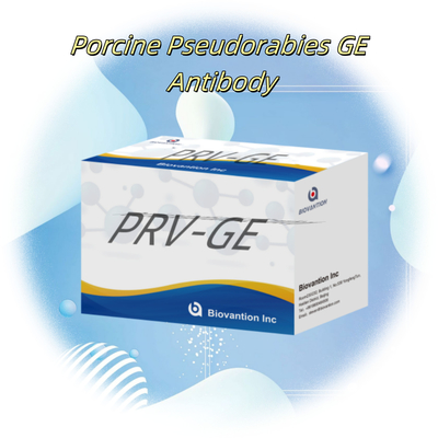 اختبار ELISA للحيوانات PRV- GB مرض السوسوسة الخنازير GB مضادات الجسم
