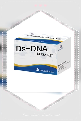 مجموعة اختبار ELISA لمكافحة Ds-DNA IgG المضادة للحمض النووي المزدوج النوعية