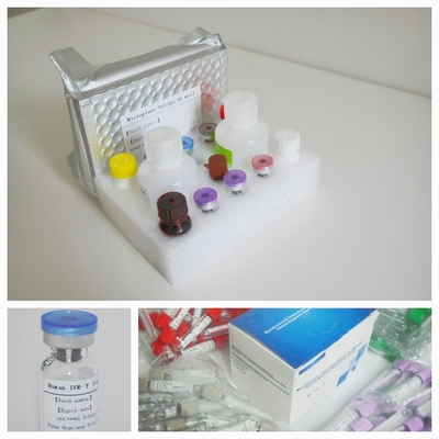 مجموعة اختبار الـ IGRA Elisa المتقدمة لـ TB للكشف الحساس والمتخصص عن المضادات