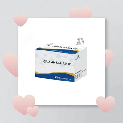 مجموعة اختبار GAD-Ab ELISA حمض الجلوتاميك ديكربوكسيلاز مضادات الأجسام