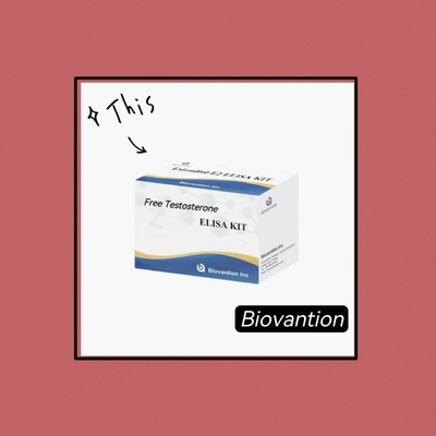 مجموعة اختبارات التستوستيرون الحر (TES ELISA)