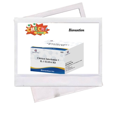 IL 1 ELISA اختبار كيت Interleukin-1 في المصل البشري والبلازما