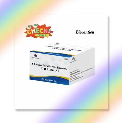مجموعة اختبار PTH ELISA الدجاج الحمض المناعي المرتبط بالأنزيمات