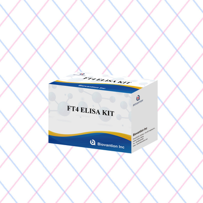مجموعة إيليسا FT4 مع 95% حساسية لمتجربة اختبار in vitro للاستخدام البشري