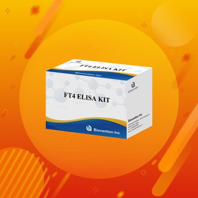 مجموعة إيليسا FT4 مع 95% حساسية لمتجربة اختبار in vitro للاستخدام البشري