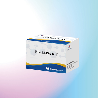 مجموعة إيليسا FT4 مع 95% حساسية لمتجربة اختبار in vitro للاستخدام البشري