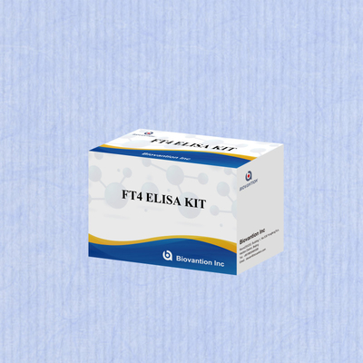 مجموعة إيليسا FT4 مع 95% حساسية لمتجربة اختبار in vitro للاستخدام البشري