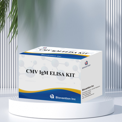 اختبار ELISA النوعي لـ Macrophage IgM مجموعة تجريبية IVD حساسية عالية
