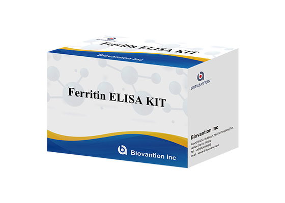 المختبر أو المستشفى عالية الدقة البشرية الفيرتين FE ELISA اختبار مجموعة