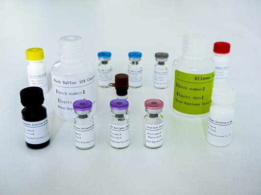 مجموعة اختبار ELISA سهلة الإصابة بالسل IGRA مع مدة صلاحية طويلة وطريقة الحفاظ 2C-8C