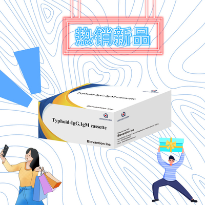بيع ساخن التيفوئيد IgM IgG للمختبرات المستشفيات حمى التيفوئيد مجموعة اختبار الدم السريع