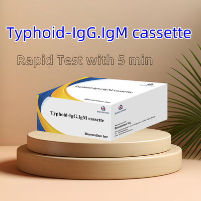 بيع ساخن التيفوئيد IgM IgG للمختبرات المستشفيات حمى التيفوئيد مجموعة اختبار الدم السريع