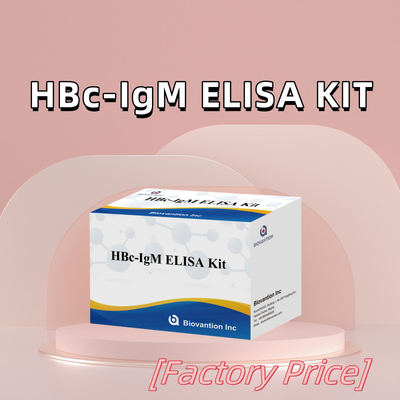 اختبار المفاعل التشخيصي عالي الدقة لـ HBc IgM Anthgen مع مجموعة اختبار المسامح المناعية المرتبطة بالأنزيم