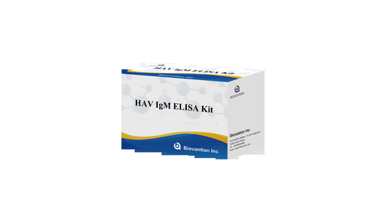 HAV IgM Elisa Test Hepatitis A Diagnositc Kit In Vitro Enzyme Immunoassay اختبار الالتهاب الكبدي