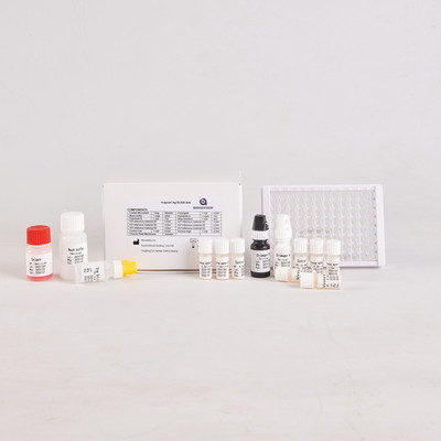 لمختبر أو مستشفى H.Pylori IgG High Precision Elisa Test Kit