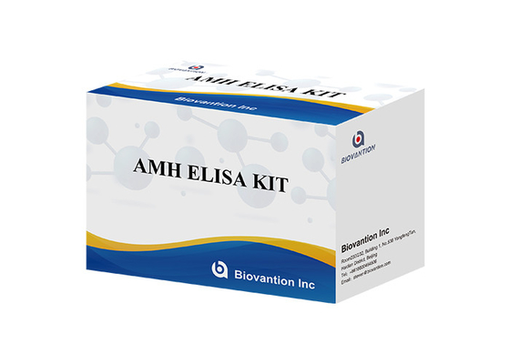حزمة اختبار هرمون المولير ضد هرمون AMH Elisa للاستخدام البشري مع البلازما في المصل