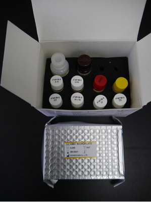 حزمة اختبار هرمون المولير ضد هرمون AMH Elisa للاستخدام البشري مع البلازما في المصل