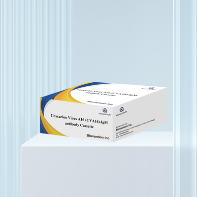 CVA16 التجربة التشخيصية IVD فيروس كوكساكي A16 CVA16-IgM كيسة الأجسام المضادة WB/S/P الذهب الكولويدي اختبار سريع