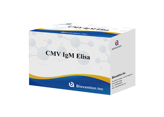 مجموعة اختبار cMV IgM Elisa مجموعة تحليل المكافحة المرتبطة بالأنزيمات مجموعة تحليل ELISA