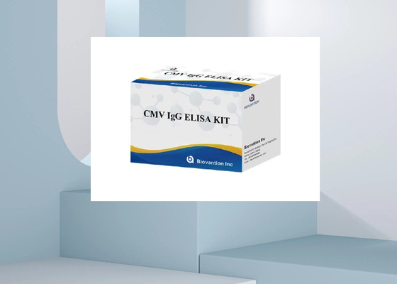 مجموعة اختبار CMV IgG Elisa مجموعة تشخيص ELISA IgG الأجسام المضادة لفيروس السيتوميغالو