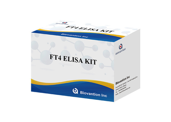 مجموعة اختبار إيليسا FT4 مجموعة اختبار المناعة المرتبطة بالأنزيمات الخالية من الدرقية