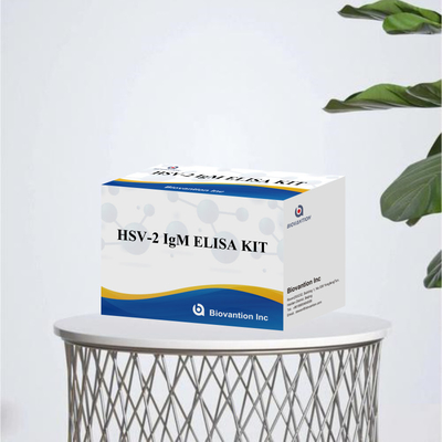مجموعة اختبار اليزا عالية الخصوصية لـ HSV-2 IgM للحصول على نتائج سريعة ودقيقة للمعامل الطبي للاستخدام البشري