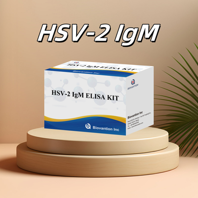 مجموعة اختبار اليزا عالية الخصوصية لـ HSV-2 IgM للحصول على نتائج سريعة ودقيقة للمعامل الطبي للاستخدام البشري