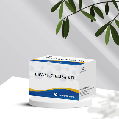 المفاعل التشخيصي لـ HSV-2 IgG المعمول به دولياً 96 اختبارات مجموعة اختبار ELISA للتشخيص الطبي