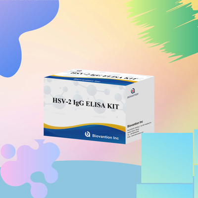 المفاعل التشخيصي لـ HSV-2 IgG المعمول به دولياً 96 اختبارات مجموعة اختبار ELISA للتشخيص الطبي