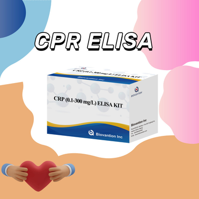 الحساسية الحيوية مجموعة اختبار CRP Elisa مستقرة عند 2-8.C محددة لتحقيق نتائج دقيقة
