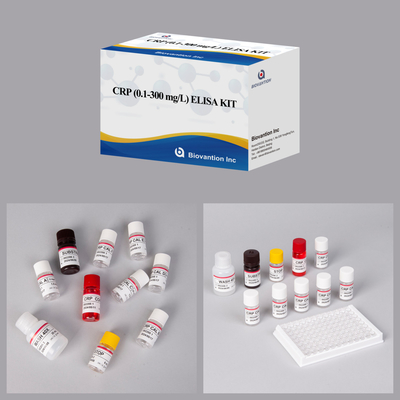 الحساسية الحيوية مجموعة اختبار CRP Elisa مستقرة عند 2-8.C محددة لتحقيق نتائج دقيقة