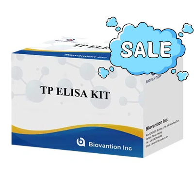 TP (Treponema Pallidum) Ab مجموعة اختبار ELISA مرض الزهري SYP جهاز استيعاب المناعة المرتبط بالأنزيم