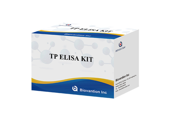 TP (Treponema Pallidum) Ab مجموعة اختبار ELISA مرض الزهري SYP جهاز استيعاب المناعة المرتبط بالأنزيم